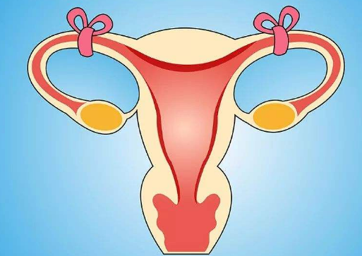 输卵管性不孕症的原因有哪些